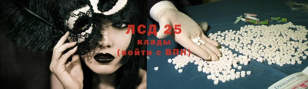 прущий лед Богданович