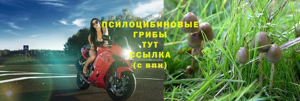 кокаин колумбия Белокуриха