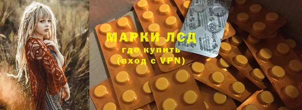 прущий лед Богданович